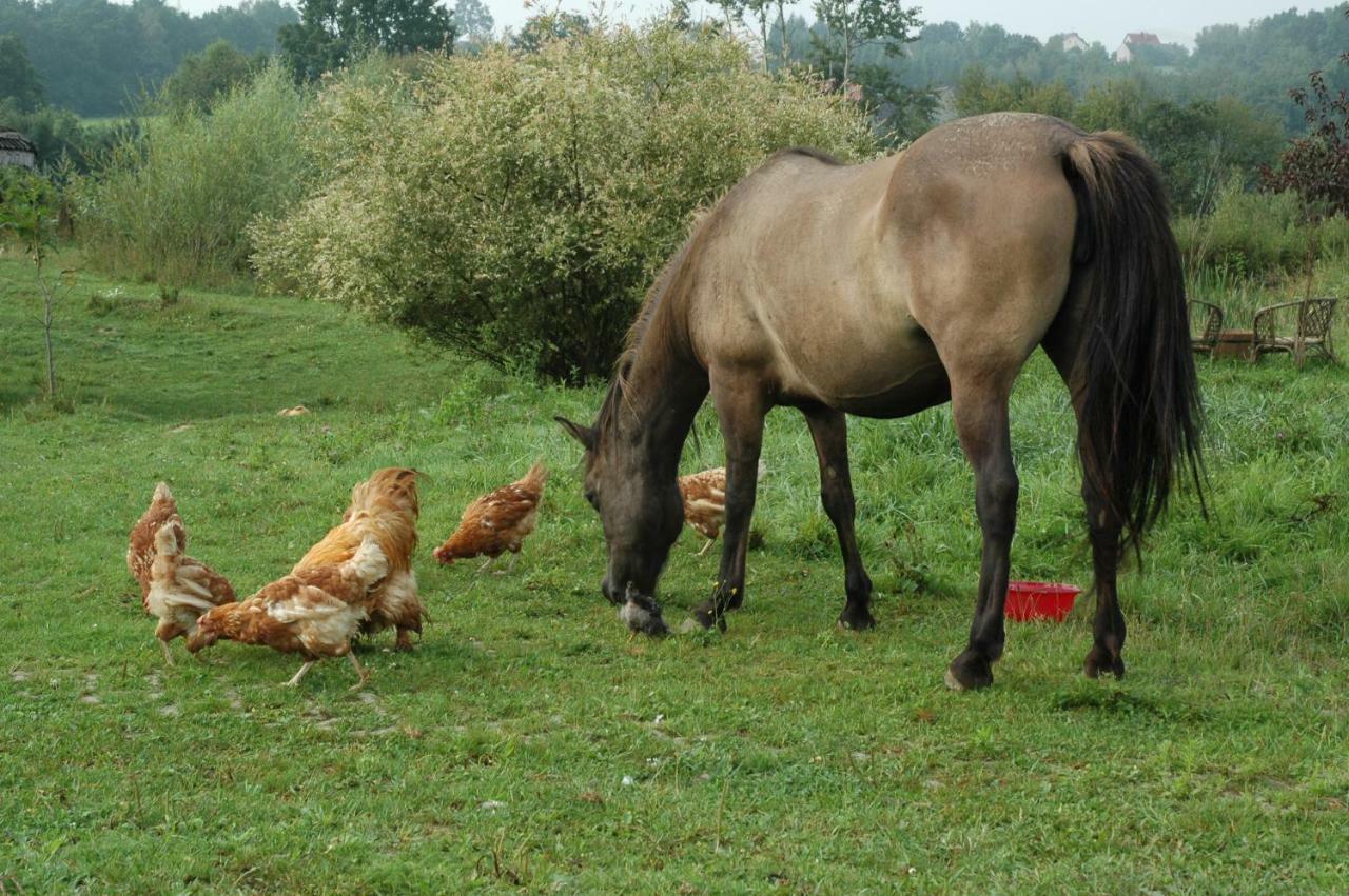 Vila Wodne Ogrody Dobczyce Exteriér fotografie