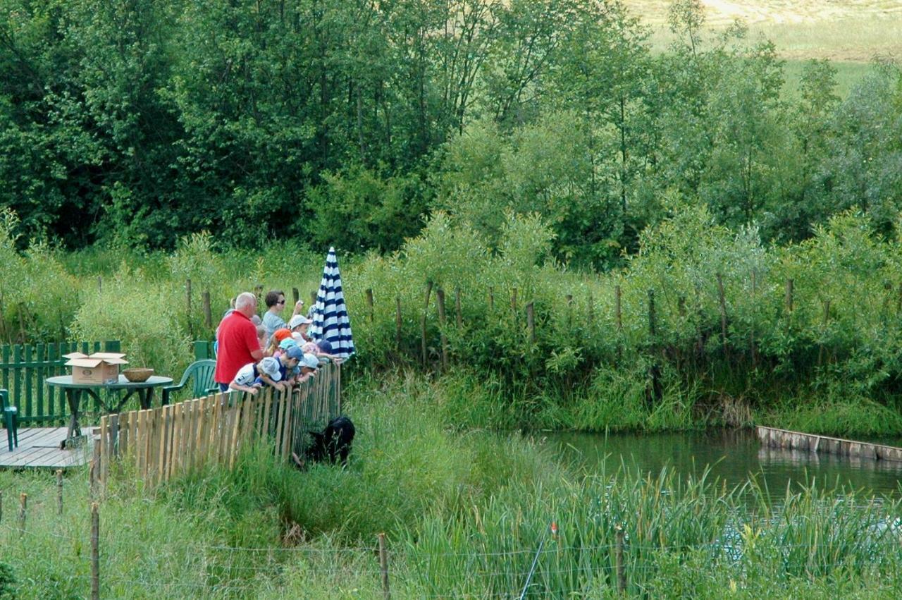 Vila Wodne Ogrody Dobczyce Exteriér fotografie