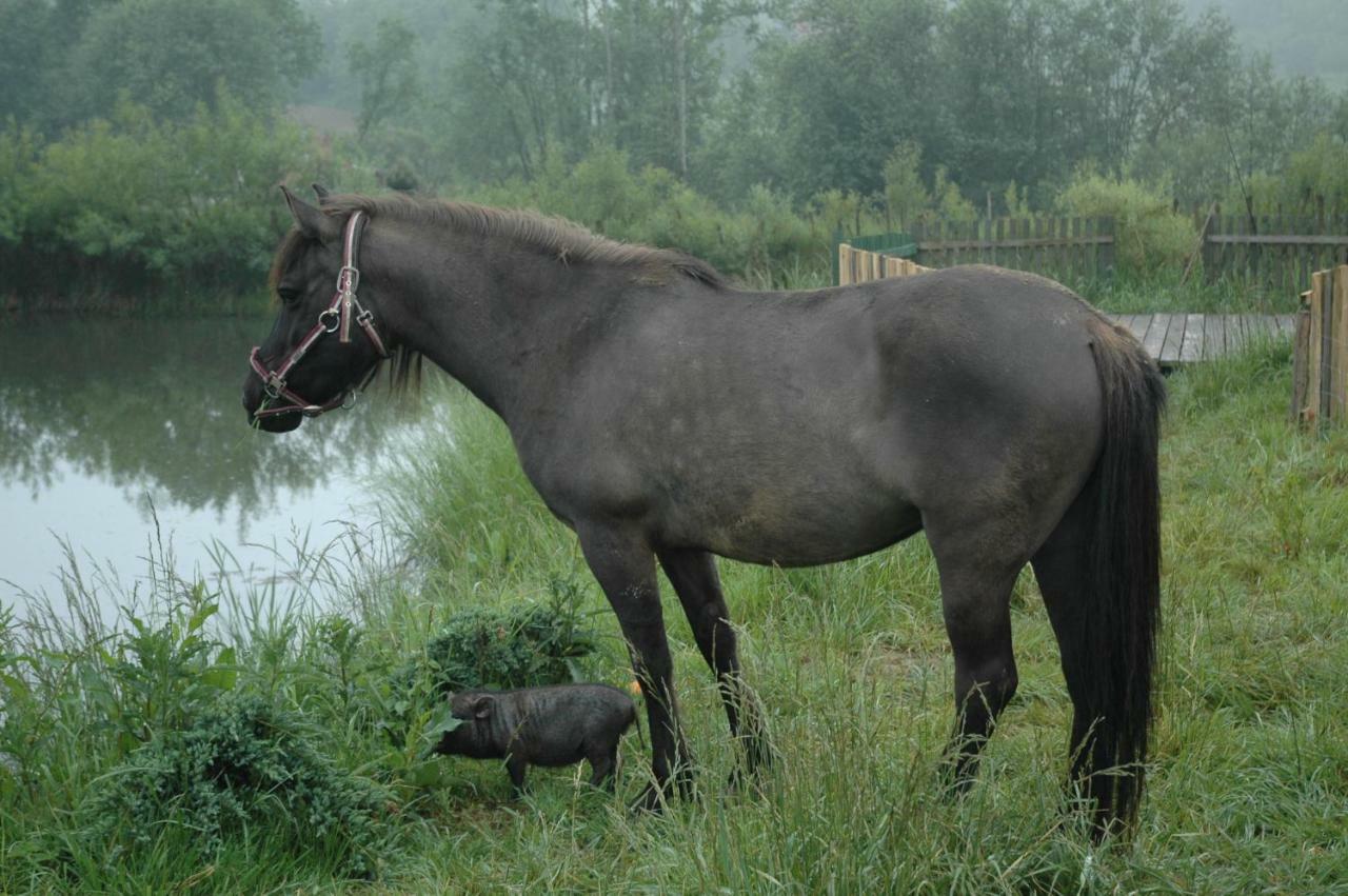 Vila Wodne Ogrody Dobczyce Exteriér fotografie