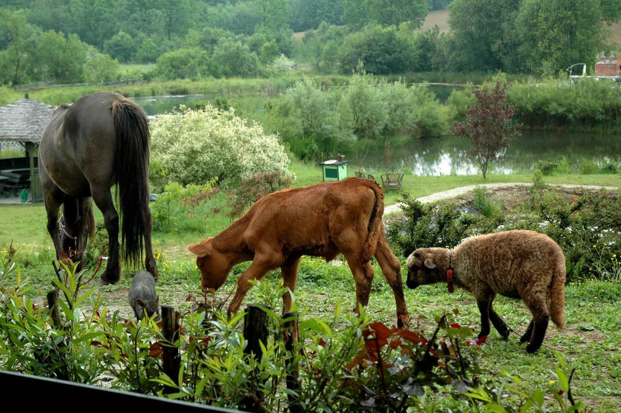 Vila Wodne Ogrody Dobczyce Exteriér fotografie